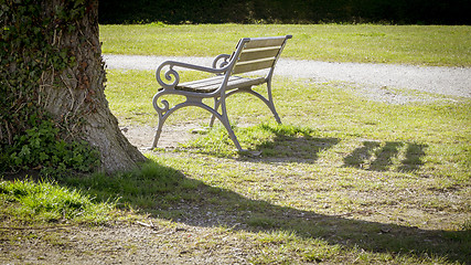 Image showing lonely bench in a park