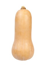 Image showing Butternut squash on white