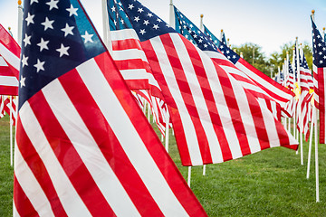 Image showing Field of Veterans Day American Flags Waving in the Breeze.