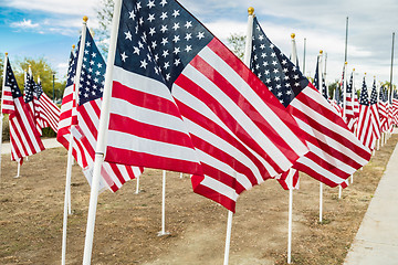 Image showing Field of Veterans Day American Flags Waving in the Breeze.