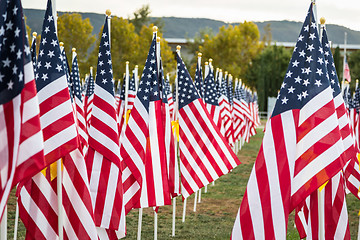 Image showing Field of Veterans Day American Flags Waving in the Breeze.