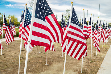 Image showing Field of Veterans Day American Flags Waving in the Breeze.