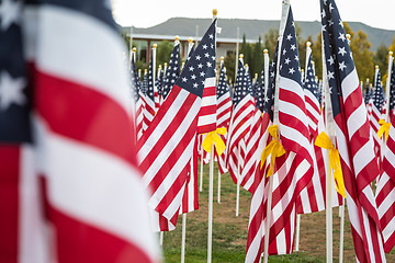 Image showing Field of Veterans Day American Flags Waving in the Breeze.