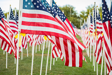 Image showing Field of Veterans Day American Flags Waving in the Breeze.