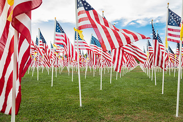 Image showing Field of Veterans Day American Flags Waving in the Breeze.