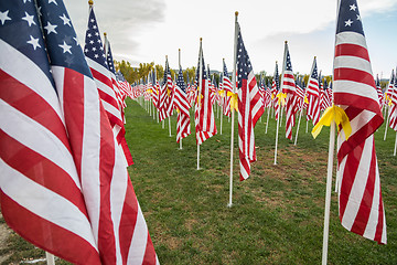 Image showing Field of Veterans Day American Flags Waving in the Breeze.