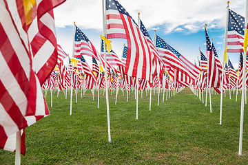 Image showing Field of Veterans Day American Flags Waving in the Breeze.