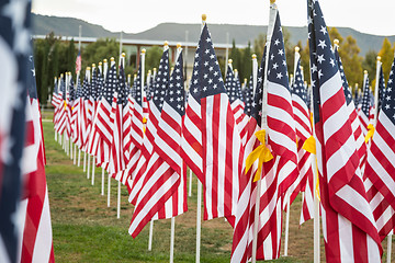 Image showing Field of Veterans Day American Flags Waving in the Breeze.