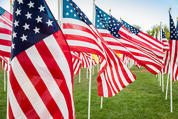 Image showing Field of Veterans Day American Flags Waving in the Breeze.