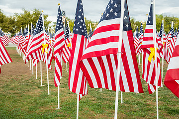 Image showing Field of Veterans Day American Flags Waving in the Breeze.