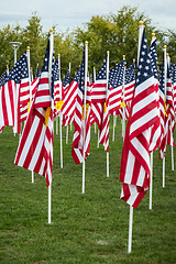 Image showing Field of Veterans Day American Flags Waving in the Breeze.