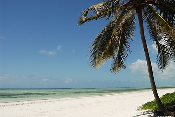 Image showing Zanzibar beach