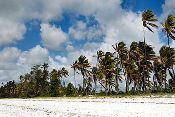 Image showing Zanzibar beach