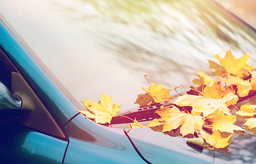 Image showing close up of car wiper with autumn leaves