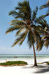 Image showing Zanzibar beach