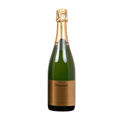 Image showing Champagne bottle