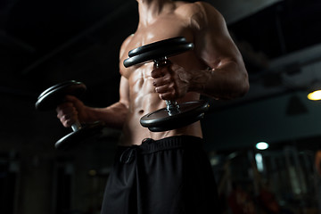 Image showing close up of man with dumbbells exercising in gym