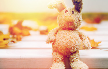 Image showing close up of toy rabbit on bench in autumn park