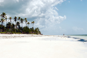 Image showing Zanzibar beach