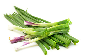 Image showing Fresh spring onions