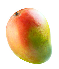 Image showing Colorful mango fruit