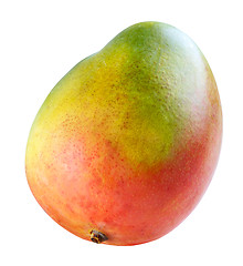 Image showing Colorful mango fruit