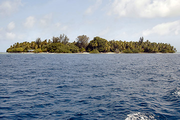 Image showing Maldives