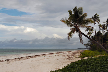 Image showing Zanzibar beach