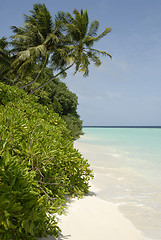 Image showing Maldives