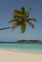 Image showing Maldives