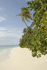 Image showing Maldives