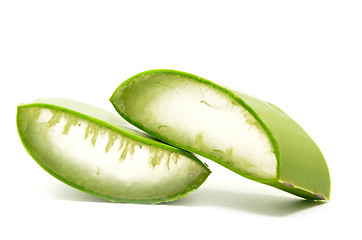 Image showing Aloe vera fresh leaf isolated