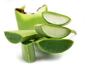 Image showing Aloe vera fresh leaf isolated