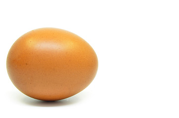 Image showing Single chicken egg 