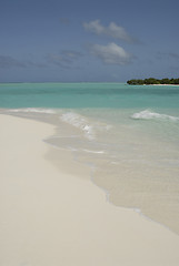 Image showing Maldives