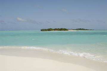 Image showing Maldives