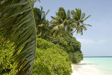 Image showing Maldives