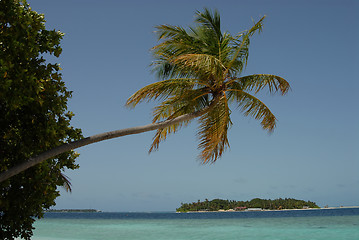 Image showing Maldives