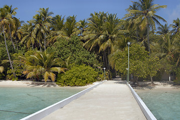 Image showing Biyahdoo island