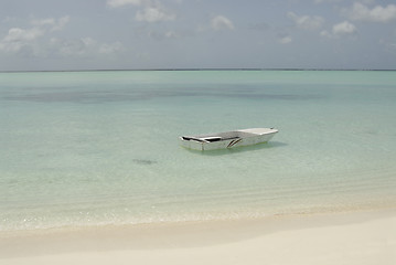 Image showing Maldivian island