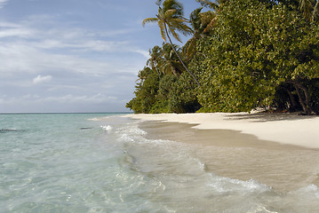 Image showing Maldives