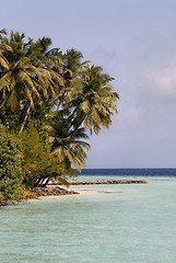 Image showing Maldives