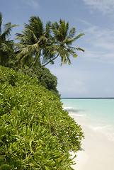 Image showing Maldives