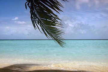 Image showing Scenic view of Maldives