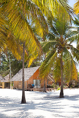 Image showing Bungalow on perfect white sandy beach, Paje, Zanzibar, Tanzania