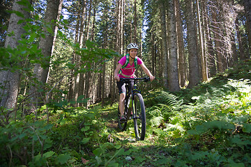 Image showing Active sporty woman riding mountain bike on forest trail .