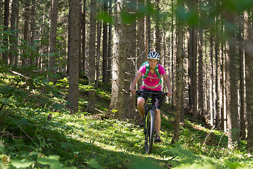 Image showing Active sporty woman riding mountain bike on forest trail .