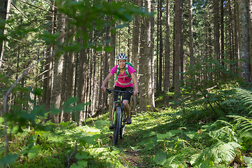 Image showing Active sporty woman riding mountain bike on forest trail .