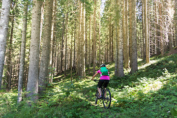 Image showing Active sporty woman riding mountain bike on forest trail .