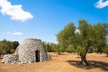 Image showing Puglia Region, Italy. Traditional warehouse made of stone